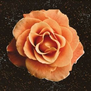 Meet your Posher, Abigail